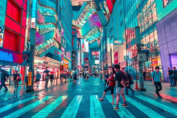 Find Tokyo Cherry Blossom Tour Summary at Tokyo Escapes