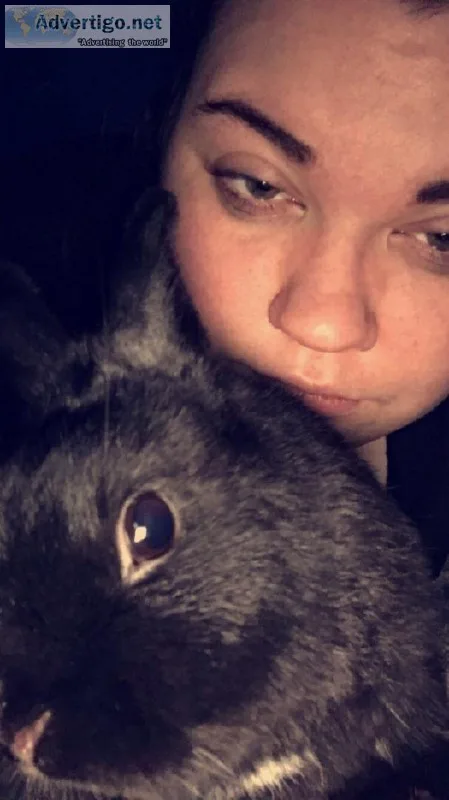 Needs loving home