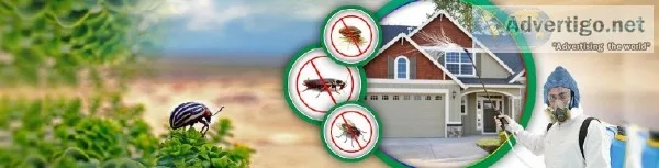 Pest Control Company &ndash Sine Pest Control