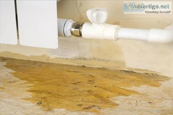 Professional Water Damage Restoration in Bonita Springs