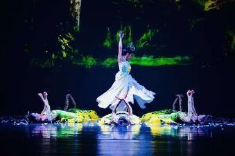 Ballet Classes Ann Arbor - Inneractiondance