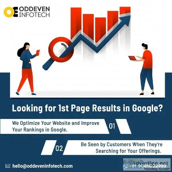 Professional SEO Services in India  1 SEO Company in India