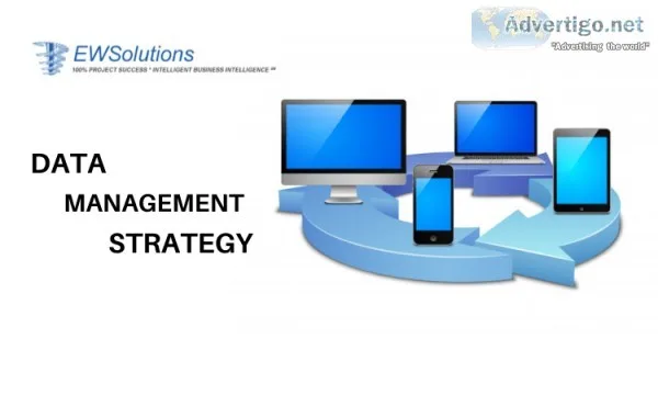 Master Data Management Strategy in the USA