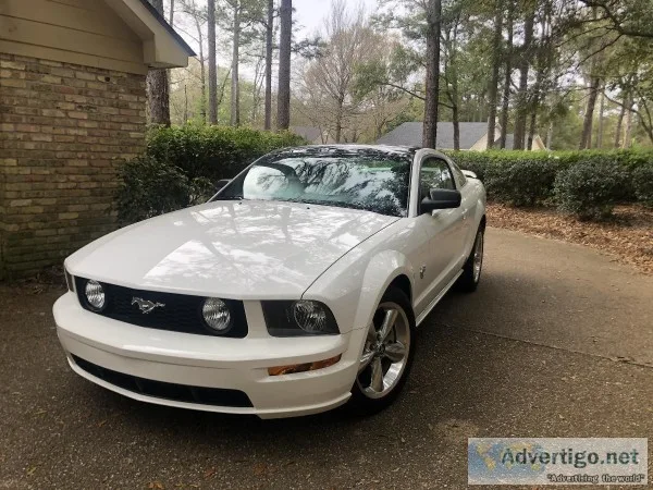2009 Ford Mustang (45th Anniversary Edition) glass roof