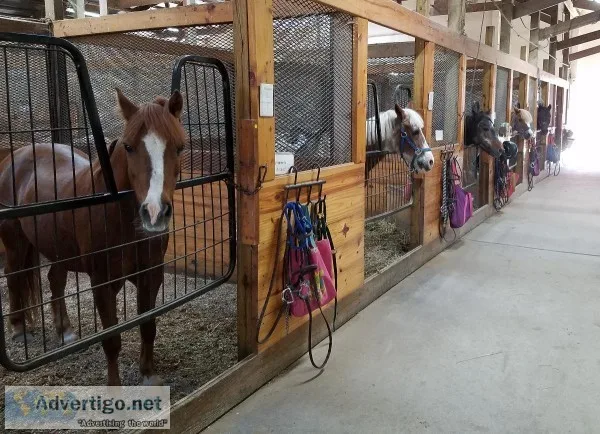 Pony Rides at Open Barn
