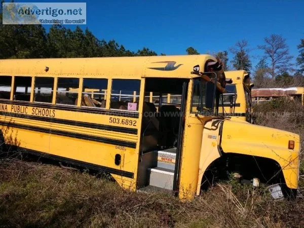 Lot of JunkScrap School Buses (50 total)
