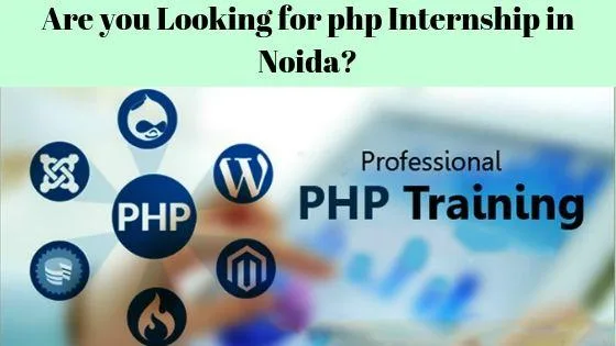 Best PHP Training Institute in Noida