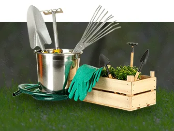 Landscape Designers Edmonton Online
