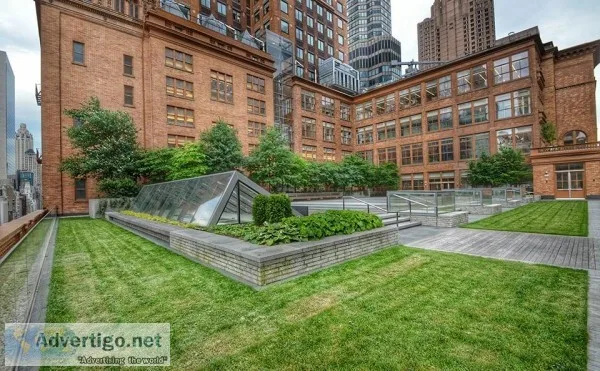 Green Roof NYC