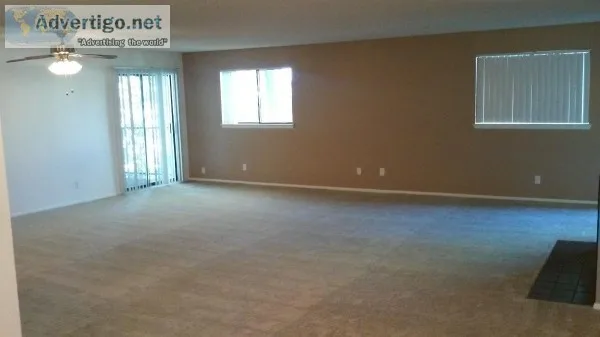 HUGE Penthouse available now