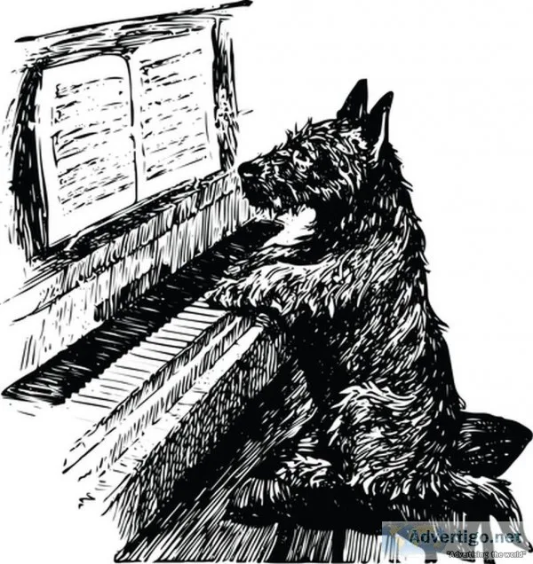 Muscatine Iowa Piano Tuning
