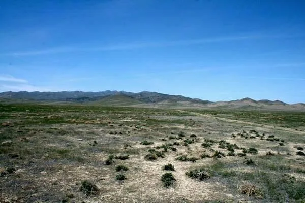 40 Acres for Sale in Winnemucca NV