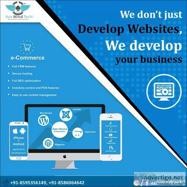 Website Development in Delhi