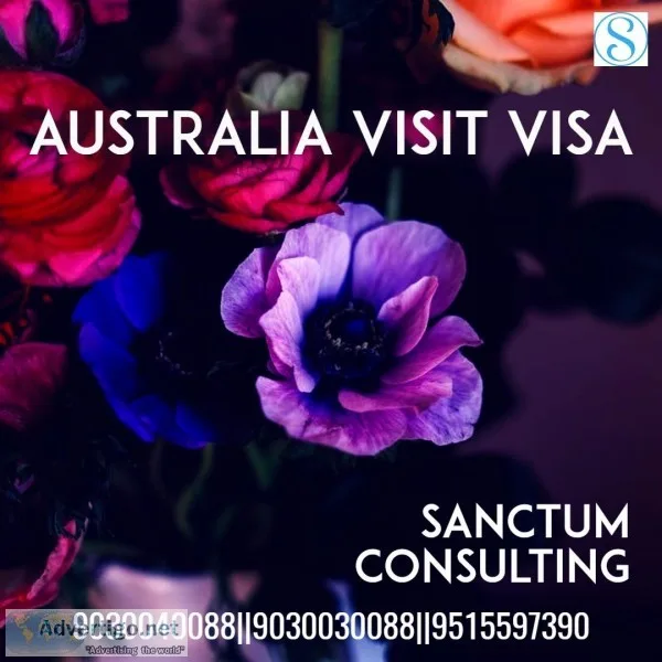 Australia Visitor Visa Services &ndash Reach Sanctum Consulting