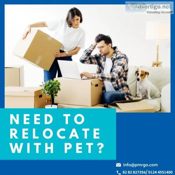 Get in touch with PMRGO for Domestic Vehicle shifting service