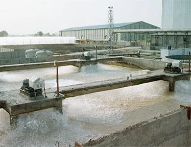 Desalination treatment