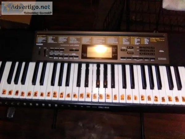 Pro Lighted Keyboard and adjustable stand.