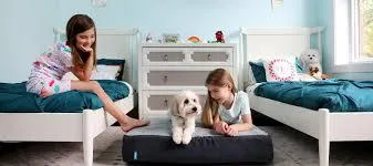 Premium pet bed