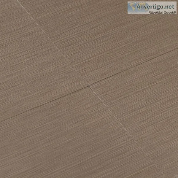 Focus Graphite 12x24 Matte Porcelain Tile