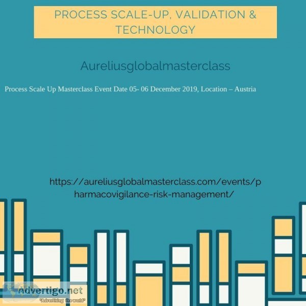 Process scale up training