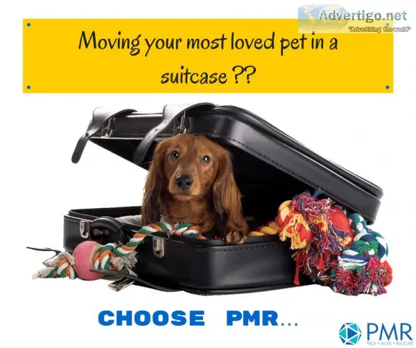 Hire PM Relocations for untangling the pet shifting issue