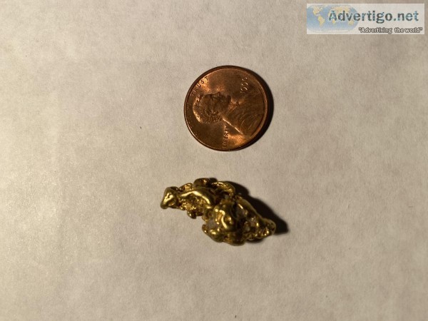 Alaskan Gold Nugget