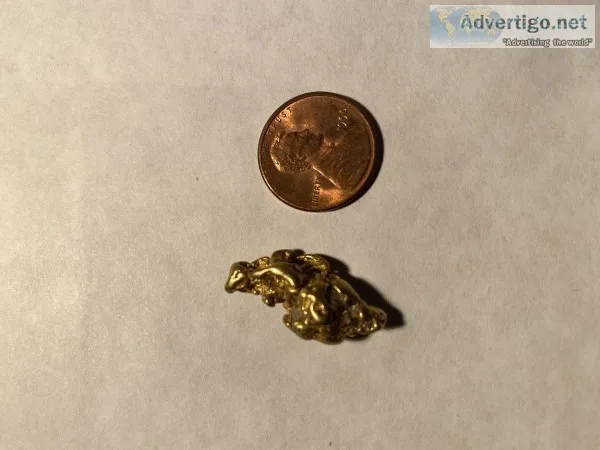 Alaskan Gold Nugget