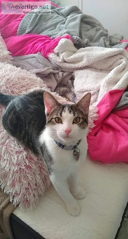 Looking for a female