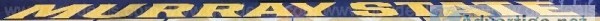 Murray State University Basketball Floor &ndash East Endline Log