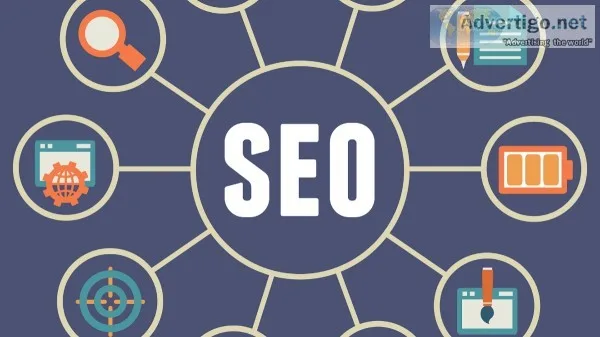 SEO Expert India