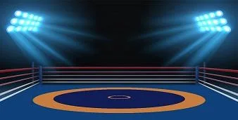 Wrestling Mats Supplier India