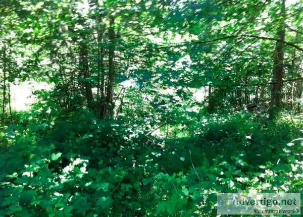 1.13 Acres for Sale in Maple Valley WA