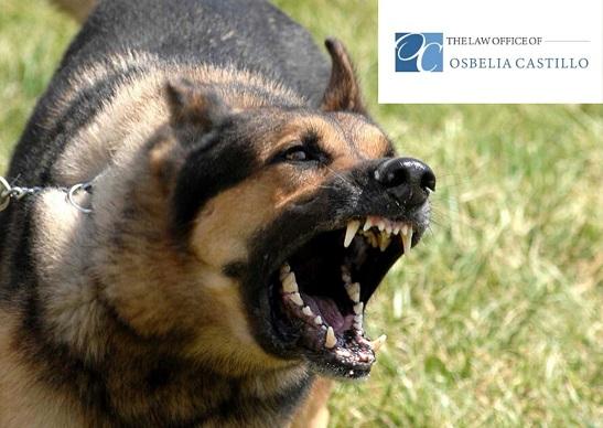 Your Santa Barbara Dog Bite Attorney to Get Compensation