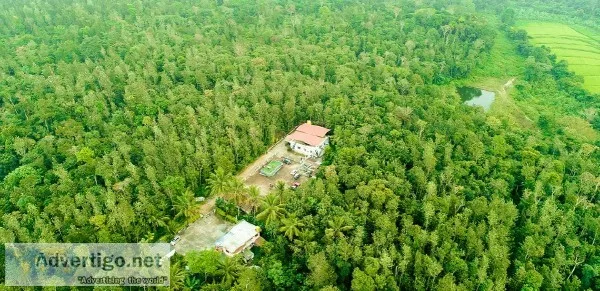 Homestay in Sakleshpur