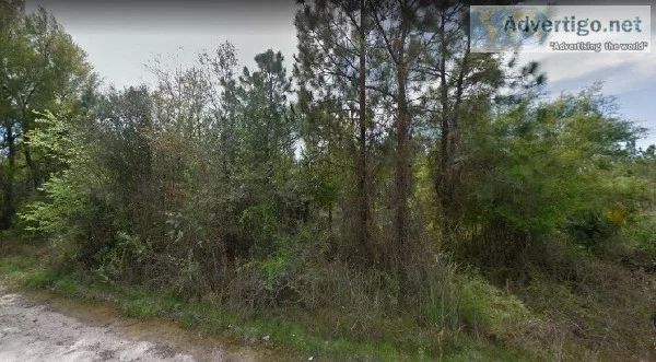 2.07 Acres for Sale in Old Town FL