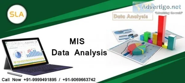 Join MIS Training Course in Delhi with Free Demo at SLA Consulta