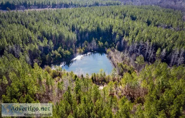20.26 Acres for Sale in Nathalie VA