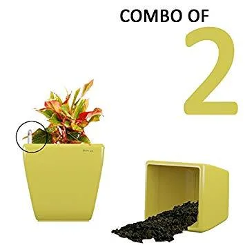 Planters Online