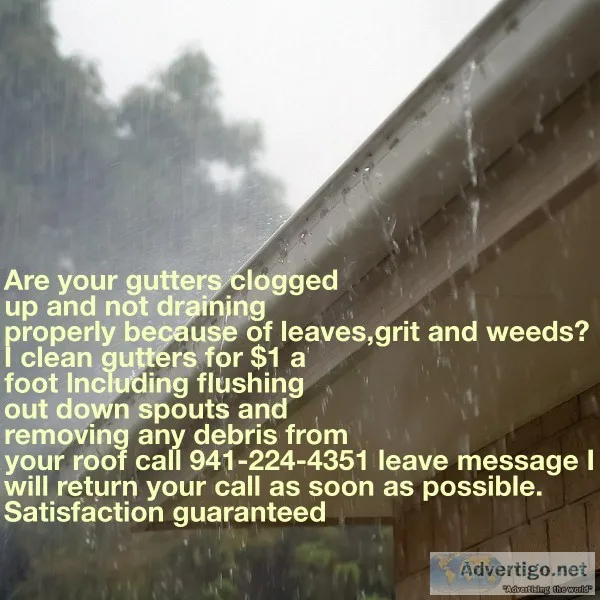 Gutter Cleaning