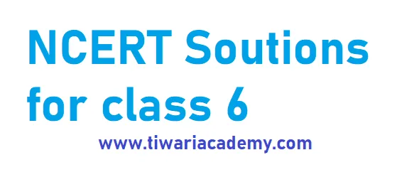 Find the Latest NCERT Solutions for class 6