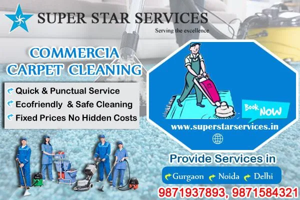 Professional Housekeeping Services