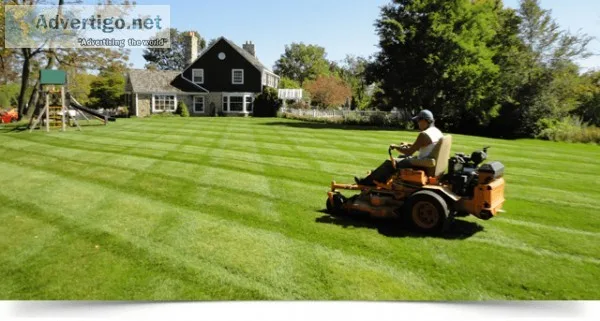 Lawn Mower  Trimmer Edger Blower Yard Equipment
