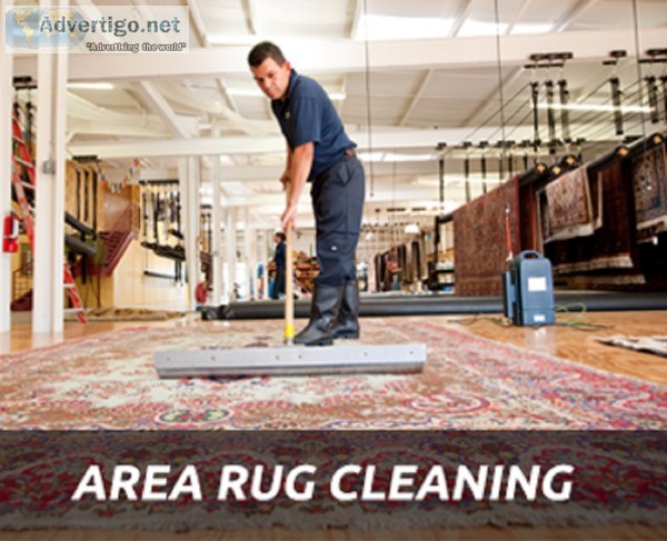 Best Carpet Cleaning services in Toronto