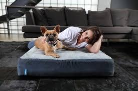 Dozer bedding for dog