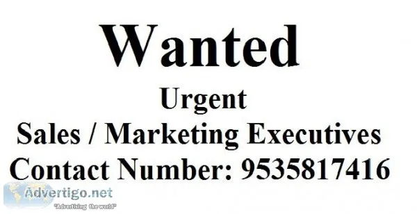 Wanted Marketing Executives