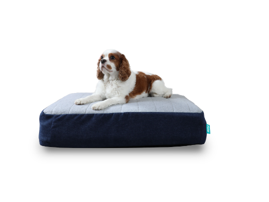 Dozer Bedding For Dog