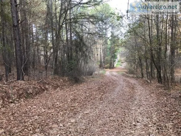 LAND FORSALE 7 ACRES
