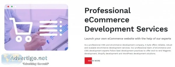  professional ecommerce & cms website de