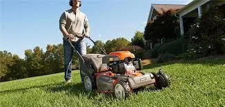 Lawn and Yard Care