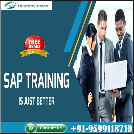 SAP Training Institute in Delhi  SAP Training Center in Delhi